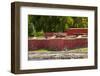 Fort Frederik Museum Historic Site, downtown Frederiksted, St. Croix, US Virgin Islands.-Michael DeFreitas-Framed Photographic Print