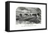 Fort Garry, Manitoba, Canada, Late 19th Century-null-Framed Stretched Canvas