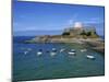 Fort Grey, Guernsey, Channel Islands, United Kingdom, Europe-Lightfoot Jeremy-Mounted Photographic Print