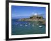 Fort Grey, Guernsey, Channel Islands, United Kingdom, Europe-Lightfoot Jeremy-Framed Photographic Print