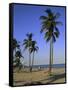 Fort Lauderdale Beach, Florida, USA-Fraser Hall-Framed Stretched Canvas