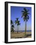 Fort Lauderdale Beach, Florida, USA-Fraser Hall-Framed Photographic Print
