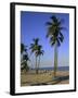 Fort Lauderdale Beach, Florida, USA-Fraser Hall-Framed Photographic Print