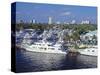 Fort Lauderdale, Florida, USA-Gavin Hellier-Stretched Canvas