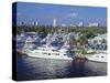 Fort Lauderdale, Florida, USA-Gavin Hellier-Stretched Canvas