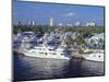 Fort Lauderdale, Florida, USA-Gavin Hellier-Mounted Photographic Print