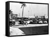 Fort Lauderdale Strip Mall, 1954-null-Framed Stretched Canvas