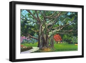 Fort Myers, Florida - View of a Giant Banyan Tree, c.1948-Lantern Press-Framed Art Print