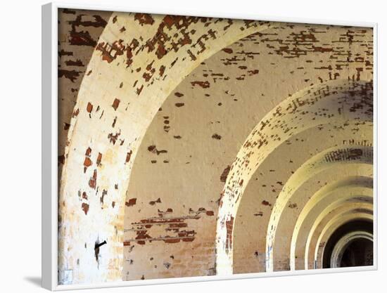 Fort Pulaski, Tybee Island, Georgia, USA-Joanne Wells-Framed Photographic Print