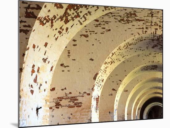 Fort Pulaski, Tybee Island, Georgia, USA-Joanne Wells-Mounted Photographic Print