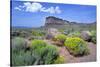 Fort Rock, Oregon-Buddy Mays-Stretched Canvas