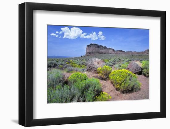 Fort Rock, Oregon-Buddy Mays-Framed Photographic Print