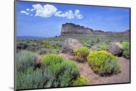 Fort Rock, Oregon-Buddy Mays-Mounted Photographic Print