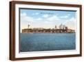 Brown Frame