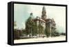 Fort Worth Courthouse-null-Framed Stretched Canvas