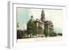 Fort Worth Courthouse-null-Framed Art Print