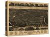 Fort Worth, Texas - Panoramic Map-Lantern Press-Stretched Canvas
