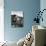 Forth - Clyde Canal-null-Photographic Print displayed on a wall