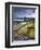 Forth Rail Bridge, Firth of Forth, Edinburgh, Scotland, UK-Alan Copson-Framed Premium Photographic Print