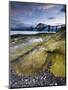 Forth Rail Bridge, Firth of Forth, Edinburgh, Scotland, UK-Alan Copson-Mounted Premium Photographic Print