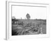 Fortifications in Front of Atlanta, Georgia, During the American Civil War-Stocktrek Images-Framed Photographic Print