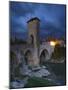 Fortified Bridge over the Gave De Pau, Orthez, Pyrenees-Atlantiques, Aquitaine, France-Doug Pearson-Mounted Photographic Print