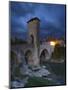 Fortified Bridge over the Gave De Pau, Orthez, Pyrenees-Atlantiques, Aquitaine, France-Doug Pearson-Mounted Photographic Print