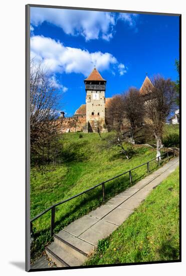 Fortified Church of Alma Vii-David Ionut-Mounted Photographic Print