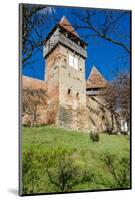 Fortified Church of Alma Vii-David Ionut-Mounted Photographic Print