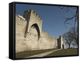 Fortified Wall and Entrance to the Medieval Town of Visby, Gotland Island, Southern Sweden-Kim Walker-Framed Stretched Canvas