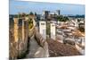 Fortified Wall in Obidos, Portugal-David Ionut-Mounted Photographic Print