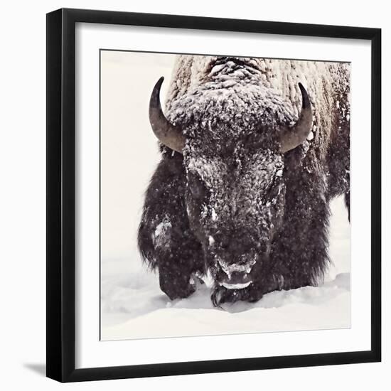 Fortitude-Wink Gaines-Framed Giclee Print