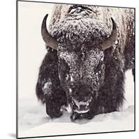 Fortitude-Wink Gaines-Mounted Giclee Print