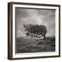 Fortitude-Doug Chinnery-Framed Photographic Print