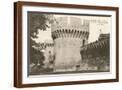 Brown Frame