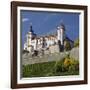 Fortress Marienberg, WŸrzburg (City), Bavaria, Germany-Rainer Mirau-Framed Photographic Print