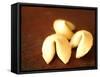 Fortune Cookies-Elisa Cicinelli-Framed Stretched Canvas
