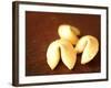 Fortune Cookies-Elisa Cicinelli-Framed Photographic Print