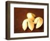 Fortune Cookies-Elisa Cicinelli-Framed Photographic Print