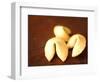 Fortune Cookies-Elisa Cicinelli-Framed Photographic Print