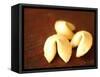 Fortune Cookies-Elisa Cicinelli-Framed Stretched Canvas