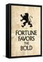 Fortune Favors the Bold Latin Proverb-null-Framed Stretched Canvas