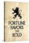 Fortune Favors the Bold Latin Proverb-null-Stretched Canvas