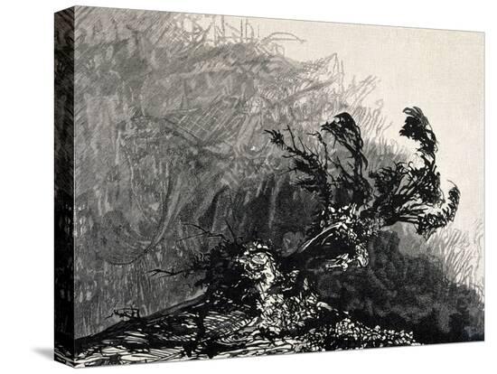Stretched Canvas Print, , large