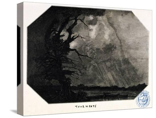 Stretched Canvas Print, , large
