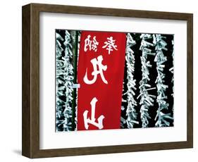 Fortune Papers at Shinto Shrine, Tokyo, Japan-Nancy & Steve Ross-Framed Photographic Print