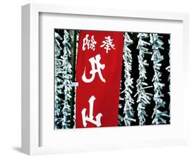 Fortune Papers at Shinto Shrine, Tokyo, Japan-Nancy & Steve Ross-Framed Photographic Print