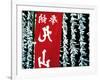 Fortune Papers at Shinto Shrine, Tokyo, Japan-Nancy & Steve Ross-Framed Photographic Print