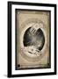 Fortune Tarot I-Victoria Borges-Framed Art Print