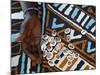 Fortune Telling with Cowrie Shells, Saly, Thies, Senegal, West Africa, Africa-Godong-Mounted Photographic Print